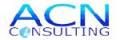 ACN Consulting